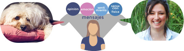 mensajes emoción opinión senti miento sensa ción física